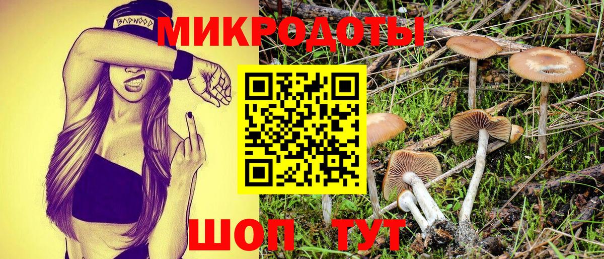 Галлюциногенные грибы прущие грибы Орехово-Зуево