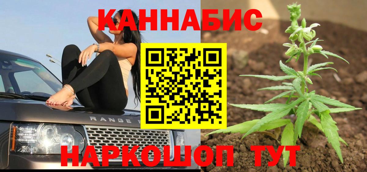 Бошки марихуана конопля Орехово-Зуево